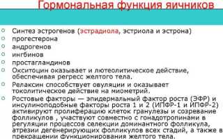 Воспаление яичников: причины возникновения, симптомы и основные способы терапевтического воздействия