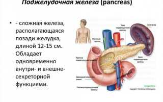 Роль поджелудочной железы в организме человека, симптомы заболеваний, лечение