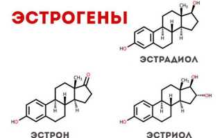 Лучшие способы как повысить уровень эстрогена в организме у женщин