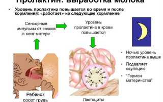 О чем говорит высокий уровень пролактина у женщин?