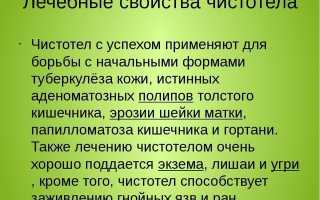 Чистотел в гинекологии – мощное средство при борьбе с женскими проблемами
