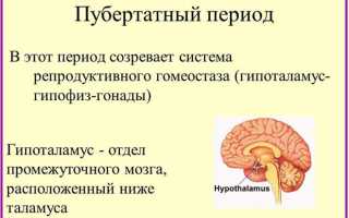 Период полового развития мальчиков и девочек: этапы созревания