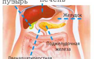 Описание основных функций поджелудочной железы в организме человека