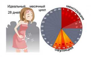 Понятие менструации и через сколько дней приходят месячные