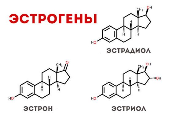 Эстрон, Эстрадиол, Эстриол
