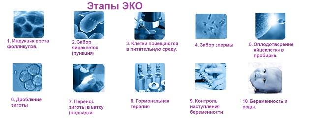 этапы эко