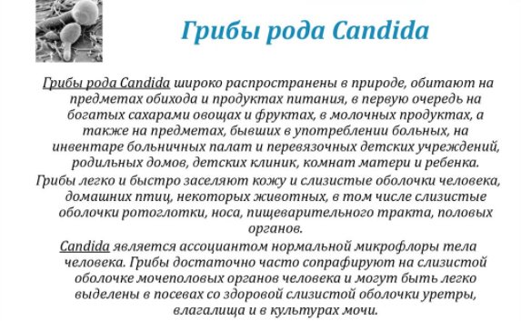 молочница при беременности