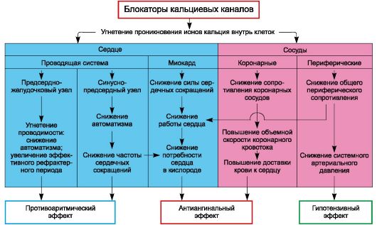 Блокаторы кальциевых каналов обзор препаратов